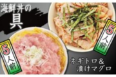 海鮮丼の具！ 漬けマグロ 5人前 & ネギトロ 5人前 ／ 刺身 まぐろ マグロ ねぎとろ 【十六家】