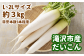 滝沢市のおいしい大根を約３kgお送りします。