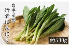 行者にんにく 約 500g 【滝沢産業開発株式会社】 ／ にんにく 大蒜 ニンニク 野菜 山菜 春野菜