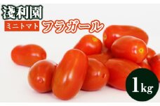 岩手県産 ミニトマト フラガール 1kg 【淺利園】／ 高糖度 トマト とまと 野菜 やさい フレッシュ 新鮮 夏野菜 旬 旬野菜 甘い 美味しい フルーツトマト 1キロ １キロ １kg 楕円 希少 稀少 期間限定 お取り寄せ グルメ 季節限定 夏 産地直送 農家直送 国産 人気 おすすめ
