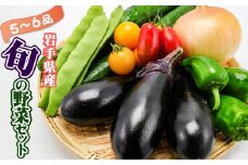 岩手県産 野菜セット 5品 ～ 6品 ／ 野菜 やさい 詰め合わせ 詰合せ 詰合わせ 旬 新鮮 国産 季節 季節野菜 おまかせ 春野菜 夏野菜 秋野菜 山菜 葉野菜 葉物 根菜 果菜 冷蔵 冷蔵発送 家庭用 自宅用 仕送り 人気 おすすめ 岩手県 滝沢 滝沢市