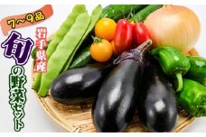 岩手県産 野菜セット 7品 ～ 9品 ／ 野菜 やさい 詰め合わせ 詰合せ 詰合わせ 旬 新鮮 国産 季節 季節野菜 おまかせ 春野菜 夏野菜 秋野菜 山菜 葉野菜 葉物 根菜 果菜 冷蔵 冷蔵発送 家庭用 自宅用 仕送り 人気 おすすめ 岩手県 滝沢 滝沢市
