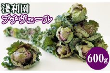 【 2025年 12月 ～ 2026年 3月 限定発送 】 岩手県産 プチヴェール 600g 【淺利園】／ 野菜 やさい フレッシュ 新鮮 冬野菜 旬 旬野菜 甘い 美味しい 芽キャベツ ケール ６００ｇ 希少 稀少 期間限定 お取り寄せ グルメ 季節限定 冬 産地直送 農家直送 国産 人気 おすすめ