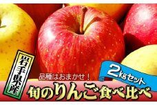 岩手県産 訳あり りんご お試し 2㎏ 品種 おまかせ ／ ふじ シナノゴールド シナノスイート サンフジ はるか ジョナゴールド 王林 北斗 千秋 陽光 世界一 など オマカセ 旬 林檎 リンゴ 訳アリ 家庭用 自宅用 果物 くだもの フルーツ 詰め合わせ 詰合せ 詰合わせ 新鮮 国産 季節 仕送り 人気 おすすめ 岩手県 滝沢 滝沢市