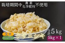 【 2025年 11月下旬より発送】 岩手県産 新米 ササニシキ 玄米 5kg ／ 農薬 化学肥料 ：栽培期間中 不使用 武田家のお米【米農家 仁左ェ門】 米 こめ コメ ご飯 ライス おにぎり 弁当 単一原料米 5キロ ５kg 産地直送 農家直送 国産 おすすめ 人気