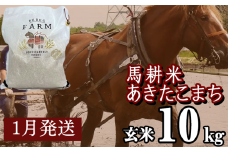 【 2026年 1月中旬より発送】 岩手県産 馬耕米 あきたこまち 玄米 10kg ／【株式会社スタディア】 お米 米 こめ コメ 馬ふん堆肥 使用 ご飯 ライス おにぎり 弁当 単一原料米 10キロ １０kg 馬耕 馬 ウマ うま 産地直送 国産 おすすめ 人気