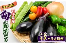 岩手県産 野菜セット 7品 ～ 9品 3ヶ月 定期便 ／ 野菜 やさい 詰め合わせ 詰合せ 詰合わせ 旬 新鮮 国産 季節 季節野菜 おまかせ 春野菜 夏野菜 秋野菜 山菜 葉野菜 葉物 根菜 果菜 冷蔵 冷蔵発送 家庭用 自宅用 仕送り 人気 おすすめ 岩手県 滝沢 滝沢市