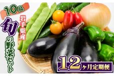岩手県産 野菜セット 10品 12ヶ月 定期便 ／ 野菜 やさい 詰め合わせ 詰合せ 詰合わせ 旬 新鮮 国産 季節 季節野菜 おまかせ 春野菜 夏野菜 秋野菜 山菜 葉野菜 葉物 根菜 果菜 冷蔵 冷蔵発送 家庭用 自宅用 仕送り 人気 おすすめ 岩手県 滝沢 滝沢市