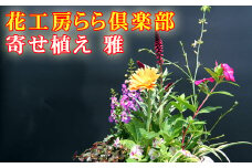 東北最大級のガーデニング専門店 厳選 『季節の寄せ植え』 【雅】 ／ 花 寄せ植え 季節 鉢植え 【花工房らら倶楽部】