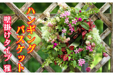 東北最大級のガーデニング専門店 厳選 『ハンギングバスケット』 【雅】 壁掛けタイプ ／ 花 インテリア 季節 バスケット 【花工房らら倶楽部】