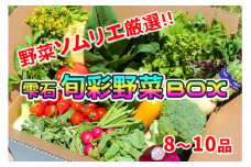 野菜ソムリエ “産直松の実の松原店長” 厳選 旬菜野菜BOX（8品～10品） ／ 人気 産直 採れたて 野菜