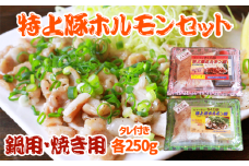 特上豚ホルモン 鍋用・塩焼き用セット【さくら亭】/ ホルモン鍋 塩焼き 豚肉 ホルモン