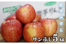 フルーツ大国！ 岩手県産 家庭用 りんご サンふじ 5kg ／ 自宅用 リンゴ 林檎 果物 フルーツ 【谷地農園】