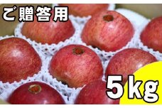 フルーツ大国！ 岩手県産 贈答用 りんご サンふじ 5kg ／ 林檎 リンゴ 果物 フルーツ ギフト 【谷地農園】