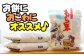 コシが強く、食感滑らかです♪