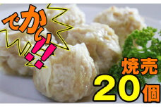 雫石地鶏 南部かしわ入り 焼売 20個セット ／ シューマイ 惣菜 冷凍発送 【九戸屋肉店】