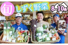 産地直送 季節の新鮮野菜 8～10品 詰め合わせ ／ 野菜 セット 産直 【あねっこ】