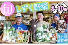 産地直送 季節の新鮮野菜 8～10品 詰め合わせ 3ヶ月定期便 ／ 野菜 セット 産直 定期便 【あねっこ】
