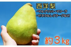 雫石町産 西洋梨 約 3kg ／ なし ナシ 梨 洋梨 洋ナシ 洋なし くだもの フルーツ 旬 【谷地農園】