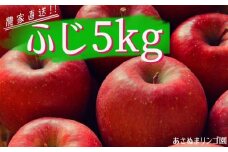 雫石町産 リンゴ （ふじ）5kg【数量限定】／農家直送 【あさぬまリンゴ園】