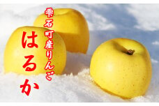 フルーツ大国！ 岩手県産 家庭用 りんご はるか 2.5kg ／ 自宅用 リンゴ 林檎 果物 フルーツ 【谷地農園】