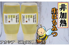 簗場養蜂場 非加熱 生はちみつ アカシア 500g 2本 ／ はちみつ 蜂蜜 ハチミツ 国産 【あねっこ】
