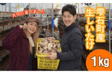 しいたけ嫌いも食べられる！！ 雫石町産「生しいたけ」1㎏【さくらだファーム】/ 椎茸 きのこ 国産 臭み少なめ