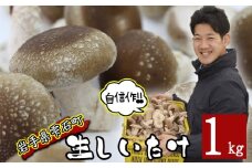 国産 岩手県産 肉厚 生しいたけ 1kg 【さくらだファーム】 椎茸 しいたけ シイタケ きのこ 茸 キノコ 野菜 やさい １ｋｇ 1キロ １キロ 出汁 だし ダシ 旨味 鍋 なべ 煮物 煮込み 七輪 焼き物 串焼き 素焼き ＢＢＱ BBQ 人気 おすすめ