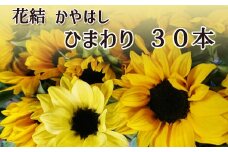 家庭用 ひまわり・30本 ／ 花結かやはし 雫石町産
