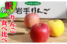 フルーツ大国！ 岩手県産 訳あり 家庭用 りんご 食べ比べ 5kg 2種類以上 ／ 自宅用 リンゴ 林檎 果物 フルーツ 【谷地農園】
