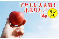 フルーツ大国！ 岩手県産 訳あり 家庭用 りんご サンふじ 小玉 5kg ／ 自宅用 林檎 リンゴ 【谷地農園】