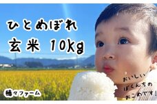 【新米予約受付】令和7年度産 ひとめぼれ 玄米10kg ／ 岩手県産 国産 雫石町 産 農家 直送 産地 直送 米 こめ コメ ごはん ライス らいす ご飯 穂々ファーム