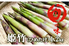 【早期予約受付】 岩手県雫石町産 根曲がりたけ 1.2kg ／ ヒメタケ 姫竹 山菜 【産直 松の実】