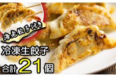冷凍生餃子 【肉餃子12個＋えび餃子9個】 ／ 餃子 ぎょうざ ギョウザ ギョーザ 中華惣菜 【みたけ飯店の餃子】