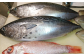 市場から仕入れた新鮮なお魚。その時期によって変わる旬のお魚をお楽しみください。