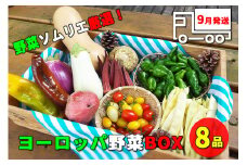 【早期予約受付】 野菜ソムリエ“産直松の実の松原店長”厳選！ヨーロッパ野菜BOX 8品 ／ 人気 産直 採れたて 野菜