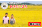 より美味しくなるよう、心を込めて生産しています
