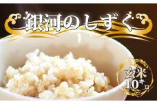 令和6年度産 銀河のしずく 玄米10kg ／ 国産 岩手県産 雫石町産 数量限定 晴山農園