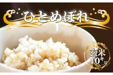 【令和6年度産】 ひとめぼれ 玄米10kg ／ 国産 岩手県産 雫石町産 数量限定 晴山農園