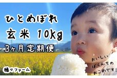 【新米予約受付】令和7年度産 ひとめぼれ 玄米10kg 3ヶ月定期便 ／ 岩手県産 国産 雫石町 産 農家 直送 産地 直送 米 こめ コメ ごはん ライス らいす ご飯 穂々ファーム