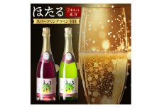 スパークリングワイン 2本セット ( 赤ワイン 白ワイン ) 甘口 飲み比べ ワイン 詰め合わせ【1226088】