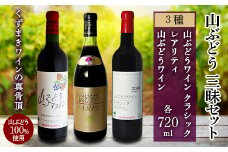 赤ワイン 3本 セット ( 山ぶどう 100%使用 ) 飲み比べ ワイン 詰め合わせ ギフト【1227491】