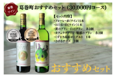 葛巻町おすすめセット (30000円 コース) くずまき ワイン 高原牧場 チーズ 等 詰め合わせ【1407510】