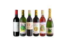 くずまきワイン おすすめ 6本セット 山ぶどう・ 赤ワイン・白ワイン・ロゼ・スパークリング【1498816】