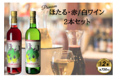 ほたる赤白2本セット【1635883】