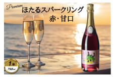 岩手くずまきワイン　スパークリング　＜ほたるスパークリング・赤:750ml＞　1本【1648939】