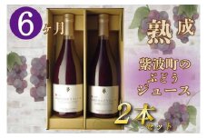 無添加 無加糖 100%ストレート 濃厚 6か月熟成「紫波町のぶどうジュース２本セット」 紫波町産 ぶどう ジュース テロワール キャンベル 葡萄 (AL062-1)
