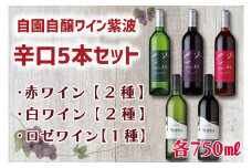 自園自醸ワイン紫波辛口５本セット (AL035)