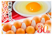 【純国産鶏もみじ】平飼い卵 30個入り 破損保証5個を含む【たまご 卵 玉子 鶏卵 平飼い卵 採れたて 新鮮 平飼い 養鶏場 直送】(AJ023)