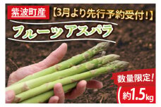 ＼先行予約・数量限定／紫波町産フルーツアスパラ 約1.5kg 路地栽培の野菜 木酢液防虫 新鮮野菜 生でもたべれる (CS002)